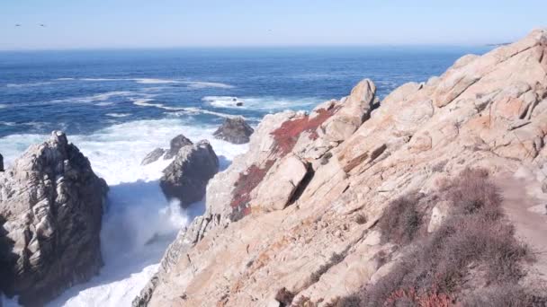 Falaise rocheuse de falaise, plage océanique, Point Lobos, côte californienne. Vagues s'écrasant. — Video