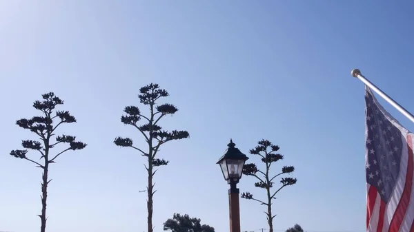 Agave Kaktüs Çiçeği, Vahşi Batı Feneri ve Amerikan Bayrağı, Batı Kaliforniya ABD — Stok fotoğraf