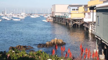 Odun yığınları üzerinde ahşap evler, Ocean Bay Limanı. Old Fishermans Rıhtımı. Monterey Limanı