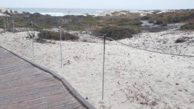 Okyanus kumlu kum tepeleri, Kaliforniya 'nın sisli kıyıları. Sisli yağmurlu hava, soğuk deniz.