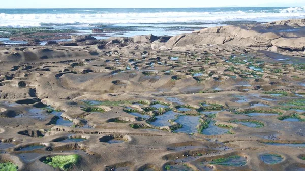 Eroded tide pool rock formation in California. Littoral intertidal tidepool zone