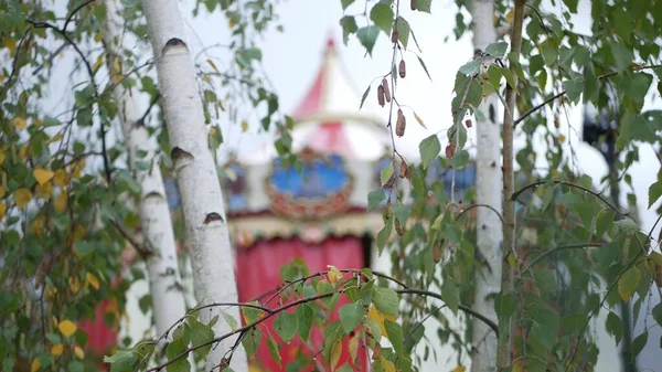 Vintage carousel in autumn park, retro circus or merry go round carrousel tent. — Stock Photo, Image