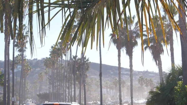 Rij palmbomen, stad in de buurt van Los Angeles, Californië kust. Palmbomen per strand. — Stockfoto