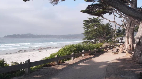 Pfad, Pfad oder Fußweg, Strand am Meer, kalifornische Küste. Kiefernzypresse am Wasser. — Stockfoto