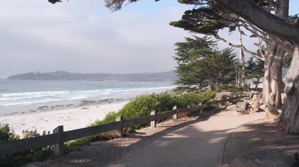 Chemin, sentier ou sentier, plage océanique, côte californienne. Cyprès du pin riverain. — Photo