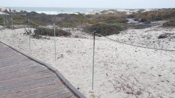 Okyanus kumlu kum tepeleri, Kaliforniya 'nın sisli kıyıları. Sisli yağmurlu hava, soğuk deniz.