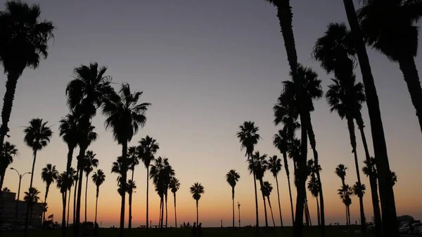 Palmy i ludzie spacerują po plaży o zachodzie słońca, wybrzeże Kalifornii, USA — Zdjęcie stockowe