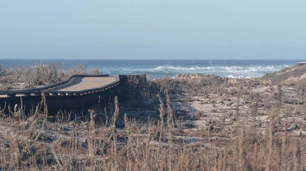 Ocean beach sandy dunes, California coast flora. Trail path, wooden boardwalk.