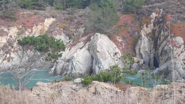 Kozalaklı çam ağacı, kaya, kayalık ya da uçurum, okyanus sahili, Kaliforniya kıyısı. — Stok fotoğraf