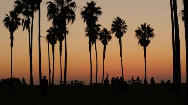 Siluety lidí a palem na pláži při západu slunce, Kalifornské pobřeží, USA. — Stock fotografie