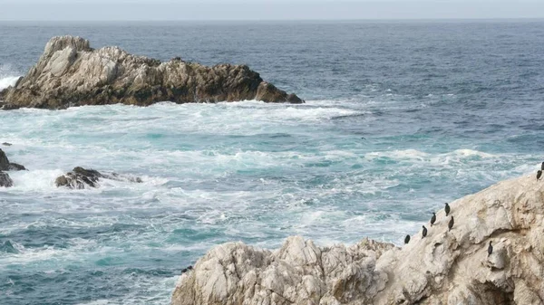 崖、海のビーチ、ポイント・ロボス、カリフォルニア海岸の岩の割れ目。波がクラッシュ. — ストック写真