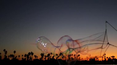 Palmiye ağaçları siluetleri, günbatımı okyanus plajı, sabun köpükleri, California sahili, ABD.
