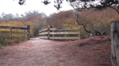 Orman yolu üzerindeki tahta köprü, yürüyüş için tahta yol, yaya köprüsü..