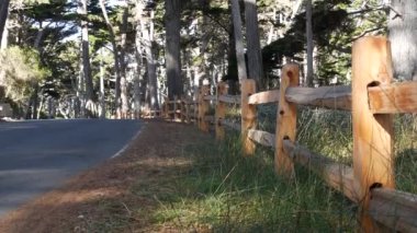 Sahne 17 mil, Monterey, California. Selvi ağacı ormanına yolculuk.