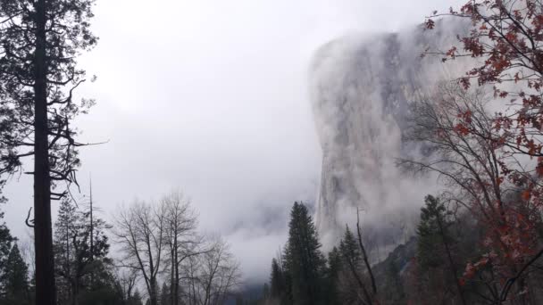Foggy mountain, cliffs or steep rocks, misty autumn, California crags or bluffs. — Stock Video