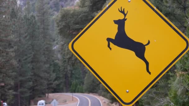 Veado cruzando sinal de estrada amarelo, Califórnia EUA. Xing animal selvagem, segurança no trânsito — Vídeo de Stock