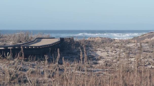 海滩沙滩沙丘，加利福尼亚海岸植物。木制木板人行道小径. — 图库视频影像