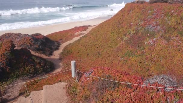 Grandes olas del océano Pacífico estrellándose, playa vacía costa de California, mar y escaleras. — Vídeos de Stock