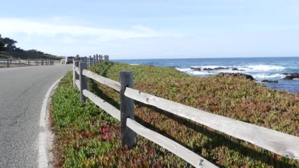 17-mijl rijden schilderachtige weg, Monterey, Californië, oceaan golven. Sappige planten. — Stockvideo