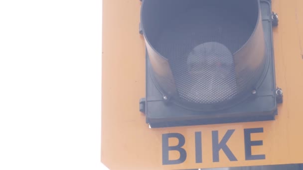 美国加利福尼亚州骑自行车的人过马路信号灯.单车径过路 — 图库视频影像