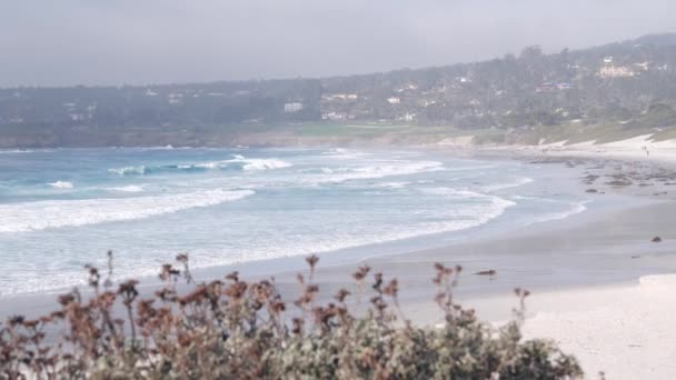 海の砂のビーチ、カリフォルニア海岸、海水波がクラッシュします。晴天霧 — ストック動画