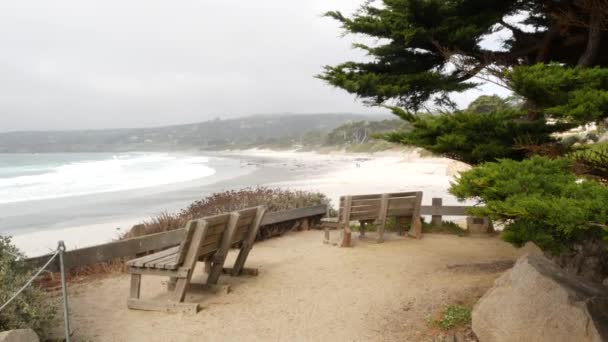 Άδειο ξύλινο παγκάκι, ξεκουράσου στο μονοπάτι. Ocean beach, Καλιφόρνια ακτή, δέντρα — Αρχείο Βίντεο