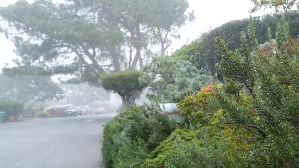 Förort bostadsområde gata, dimmig dimmig väg regnigt väder, Kalifornien — Stockvideo