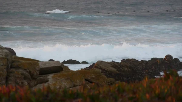 Rocky ocean coast, drammatiche onde marine, Monterey beach, California, uccelli che volano. — Foto Stock