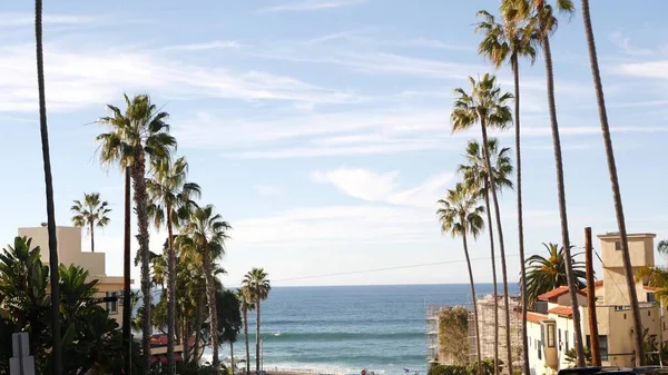 Row of palm, miasto w pobliżu Los Angeles, wybrzeże Kalifornii. Palmy na plaży. — Zdjęcie stockowe
