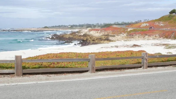 Route panoramique de 27 miles, Monterey, Californie, vagues de l'océan. Plantes succulentes. — Photo