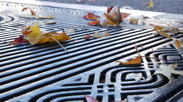 Seco amarillo otoño hojas de arce caído, rejilla de metal en el suelo de la calle americana. — Foto de Stock