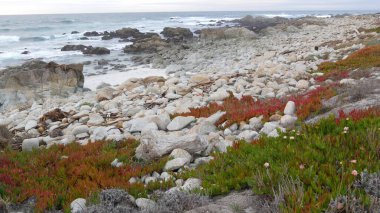 Kayalık okyanus kıyıları, kayalara vuran deniz dalgaları, Monterey California