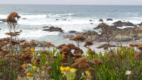 17 milhas de carro, Monterey California. Costa oceânica rochosa e escarpada, onda. Flores de ervas — Fotografia de Stock