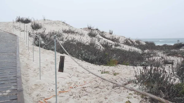 Ocean beach sandy dunes, California misty coast. Foggy rainy weather, cold sea.