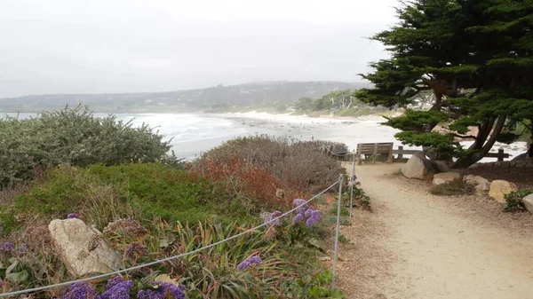 Lege houten bank, rust op wandelpad. Oceaanstrand, Californische kust, bomen — Stockfoto