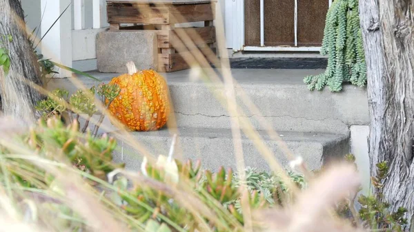 Dýňová halloween výzdoba před dveřmi na dvoře. Jack o lucerna na schodech. — Stock fotografie