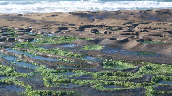 Formación de roca de piscina de marea erosionada en California. Zona de marea intermareal litoral — Foto de Stock