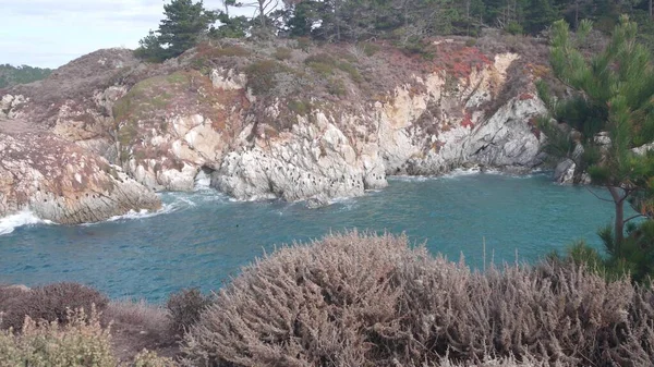 Naaldboom, rots, kreek of klif, oceaanstrand, Californische kust — Stockfoto
