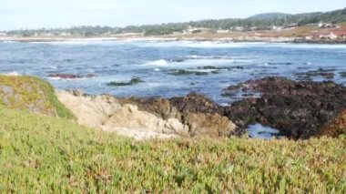 17 mil, Monterey, California. Banliyö gayrimenkulleri, okyanus kıyısındaki evler