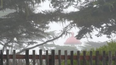 Eski deniz feneri mercekleri parlıyor, sisli yağmurlu hava. Aydınlatılmış Beacon USA