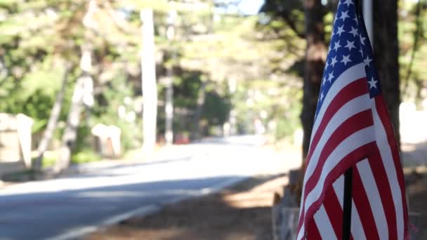 Amerikanische Flagge, Zypressenpinienwald, 17 Meilen Autofahrt, Kalifornien, Touristen-Roadtrip — Stockvideo