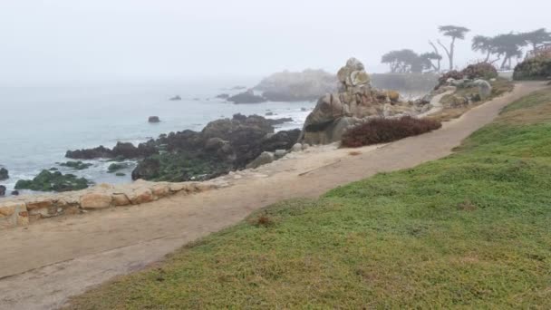 Plaża skalista ocean, fale morskie w mglistej mgle, Monterey, wybrzeże Kalifornii. — Wideo stockowe