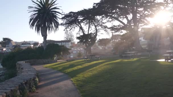 Lovers Point park a Pacific Grove-ban, Monterey Kalifornia partjainál. Ciprusi fenyőfa — Stock videók