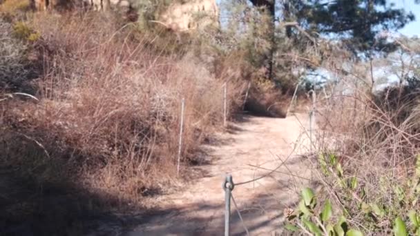 Torrey Pines parque estadual, reserva natural, trekking e trilhas caminhadas, Califórnia — Vídeo de Stock