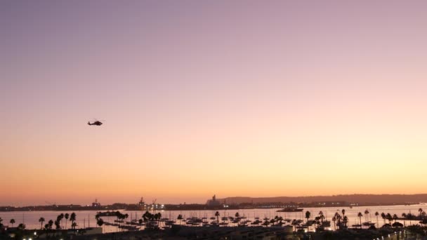 Palm tree silhouettes, ocean harbor at sunset, San Diego, California. Helicopter — 비디오