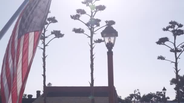 Agave kaktus blomma, vilda västern lykta och amerikansk flagga, västra Kalifornien USA — Stockvideo
