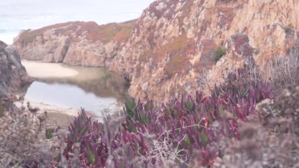 峡谷、山崖或悬崖中的小河河口。加利福尼亚海洋海岸. — 图库视频影像