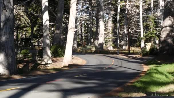 Scenic 17-mijl rijden, Monterey, Californië. Reis door cipressenbos. — Stockvideo