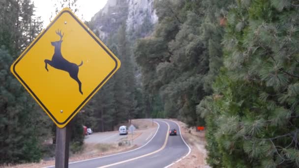 Deer crossing yellow road sign, California USA. Wild animal xing, traffic safety — Stock Video