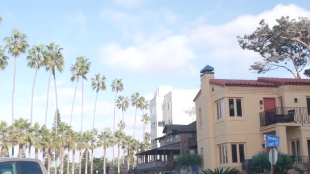 Palmenreihe, Rocky Point Park in La Jolla, Kalifornien, USA. Blauer Himmel — Stockvideo